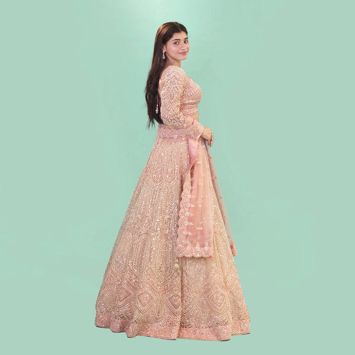 Stylish Crop Top Lehenga for Women
