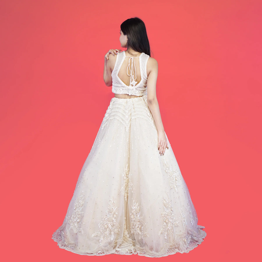Stunning Ceremonial Crop Top Skirt Set