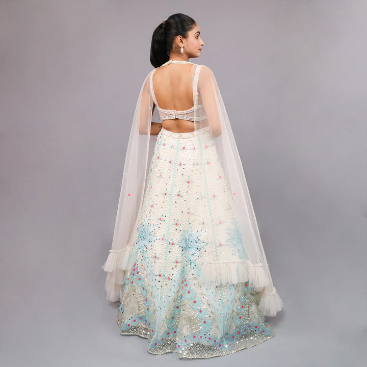 Crop Top Skirt with Stylish Cape Vastrachowk