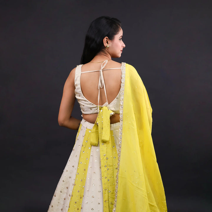 Crop Top Traditional Lehenga with Dupatta -Vastrachowk