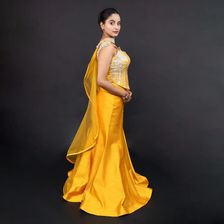 Elegant Mermaid Style Crop Top Skirt Co-ord Set Vastrachowk