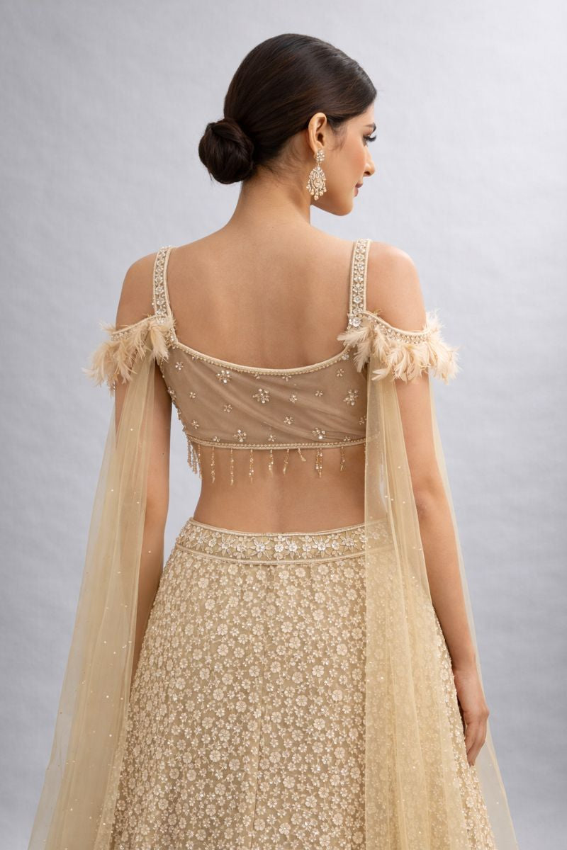 Fish Cut Crop Top Skirt  