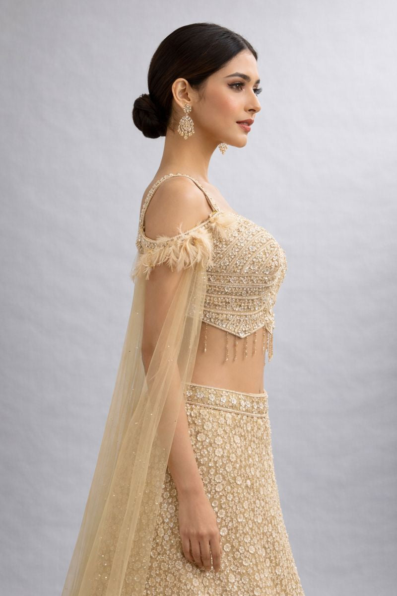 Fish Cut Crop Top Skirt 