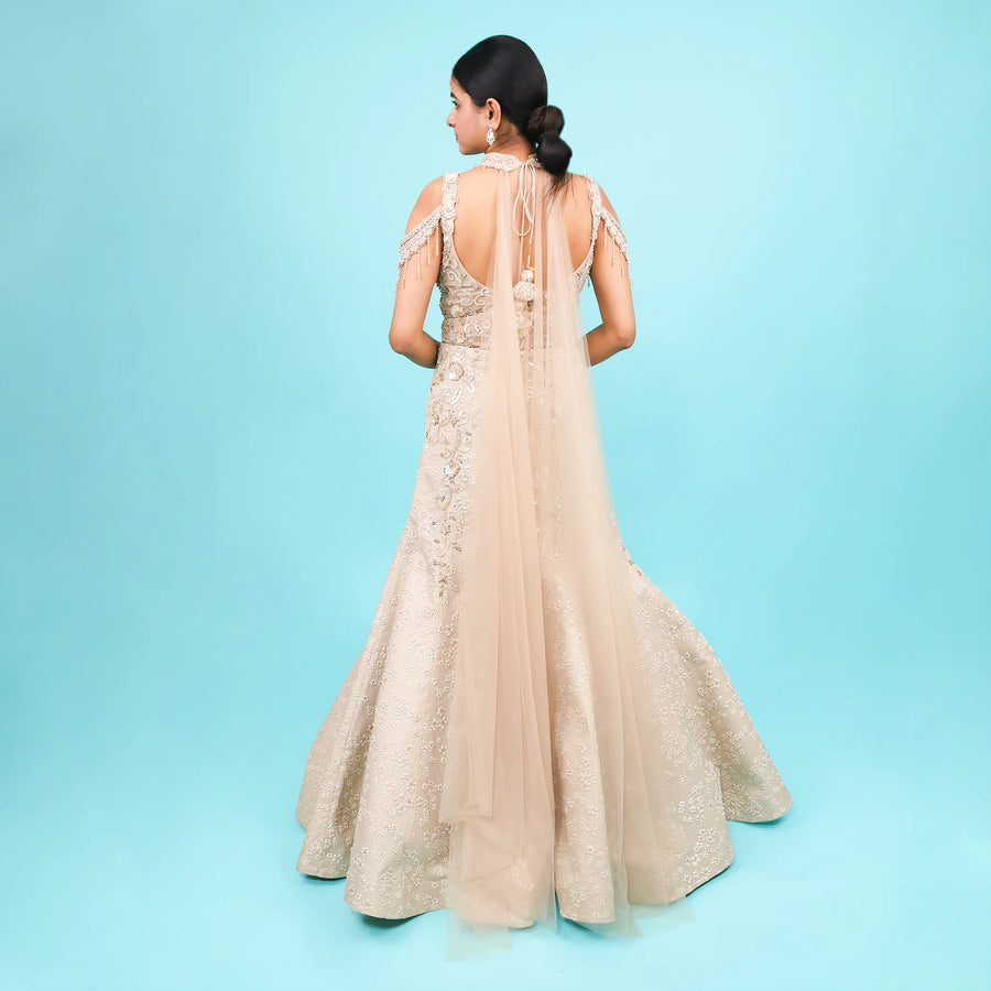 Fish Cut Engagement Gown with Choker Dupatta Vastrachowk