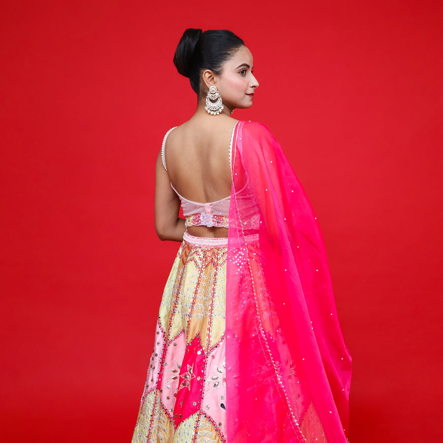 Stunning Indo Western Printed Lehenga
