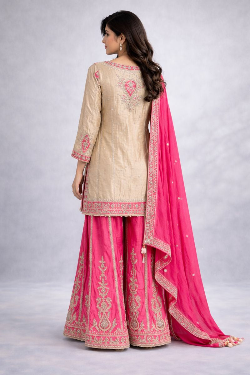 Rani Sharara Suit 