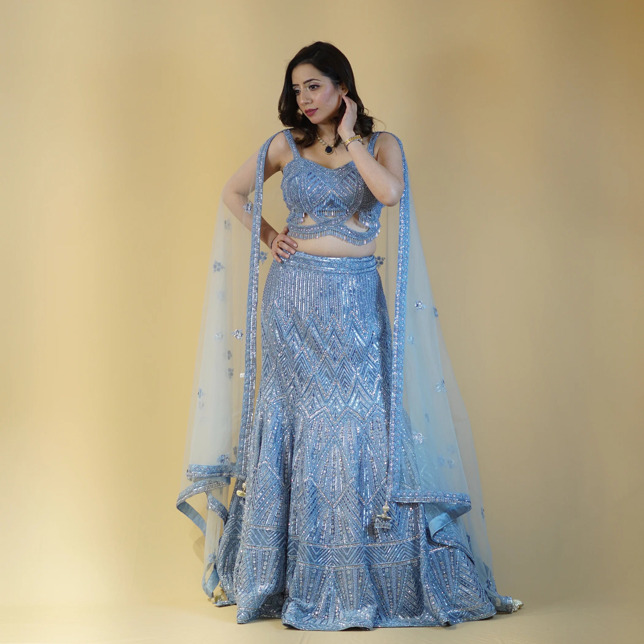 Stunning Mermaid Style Crop Top Lehenga