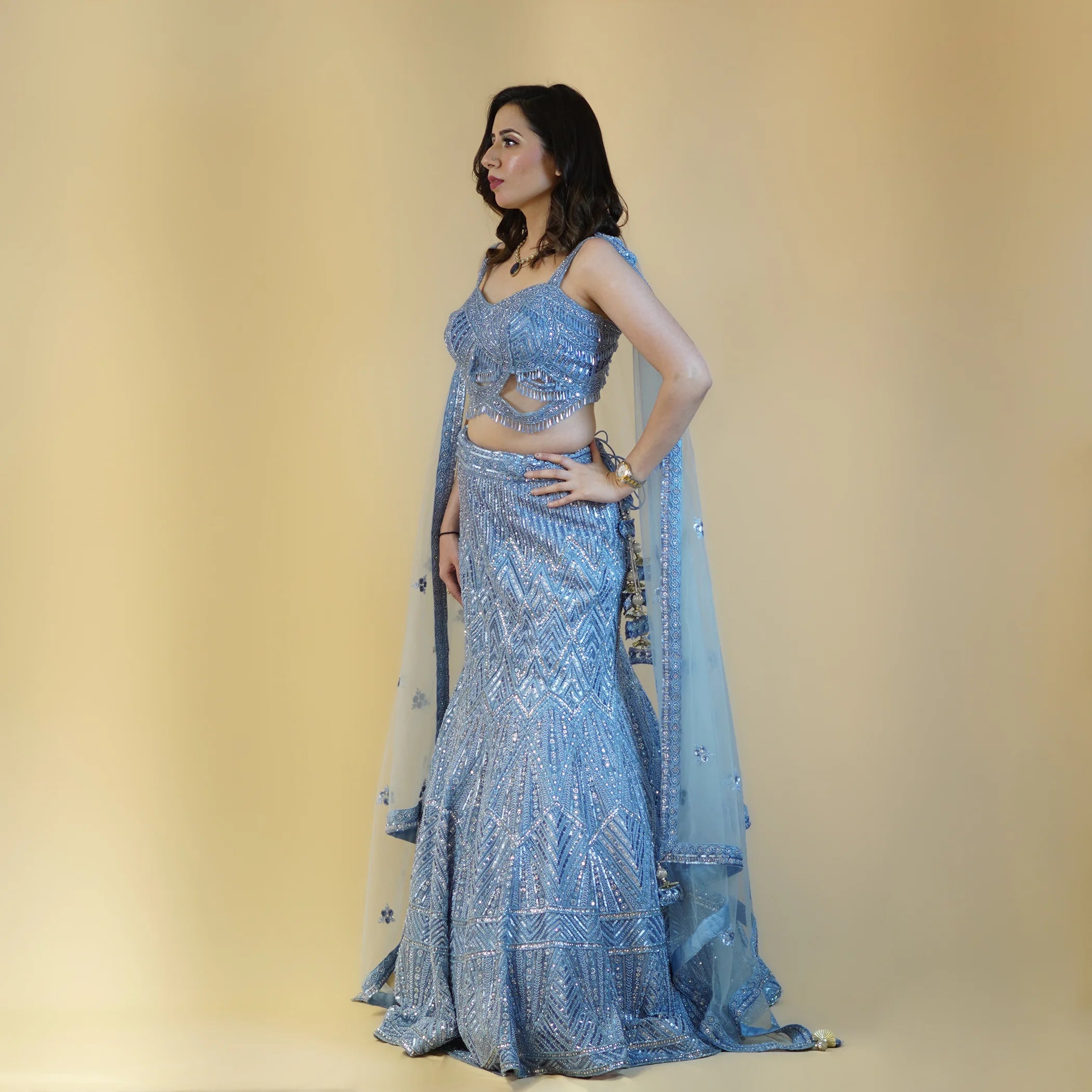 Stunning Mermaid Style Crop Top Lehenga Vastrachowk