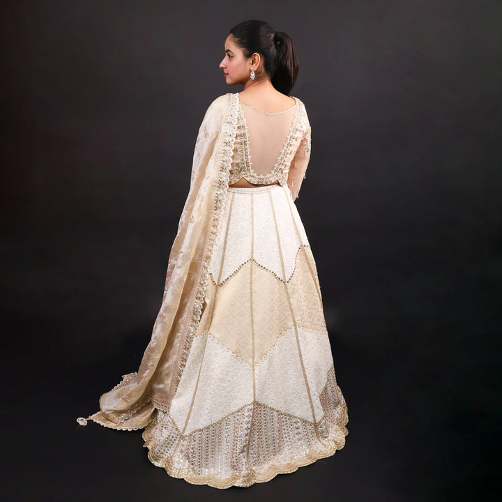 Traditional Crop Top Lehenga with Banarasi Dupatta- Vastrahchowk