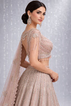 Western Crop Top Lehenga 