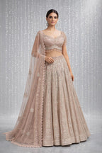 Western Crop Top Lehenga 