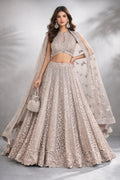 Champagne Glamour Embroidered Lehenga Set