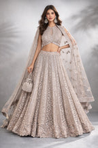 Champagne Glamour Embroidered Lehenga Set