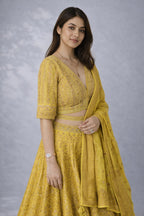 Mustard yellow lehanga