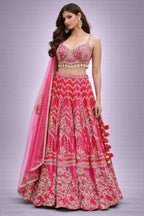 Pink Embroidered Lehenga Set with Designer Blouse & Dupatta