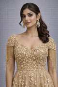 gold embroidered gown