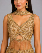 gold traditional outfit