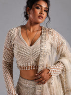 embroidered beige lehenga