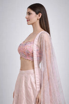 Pink traditional lehenga