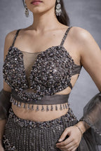 mocha lehenga set
