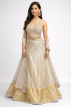 gold net lehenga