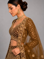 coffee brown lehenga