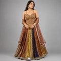 multi color lehenga