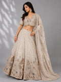 Chiku Color Lehenga