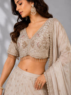 Chiku Color Lehenga