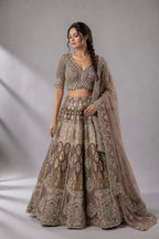 chiku Traditional Indian Lehenga