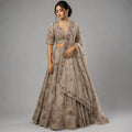 chikoo embroidered lehenga