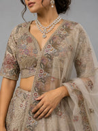 chikoo embroidered lehenga