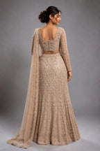 gold party wear saree