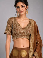 Chiku Designer Lehenga Set with Embroidered Blouse & Woven Dupatta