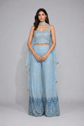 sky blue sharara set