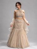 Luxury Gold Lehenga