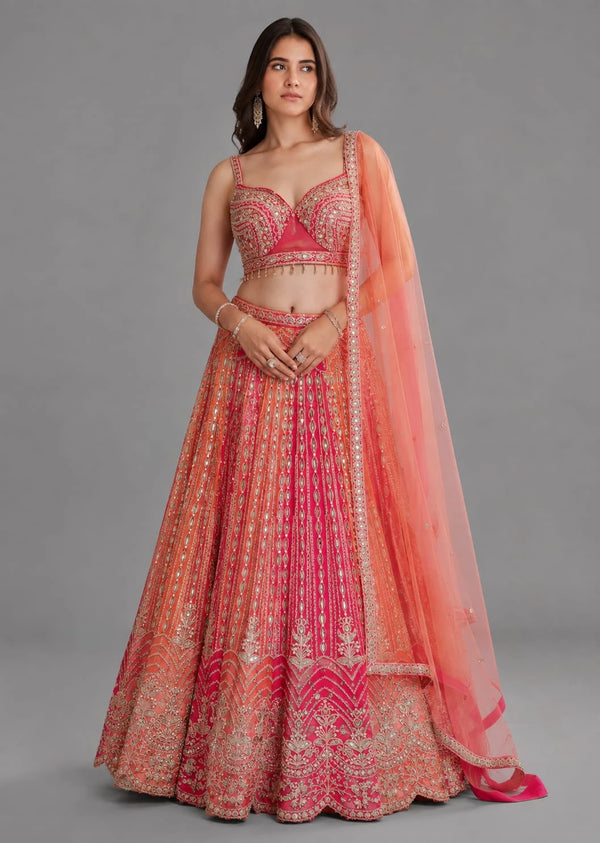 Rani Embroidered Lehenga Set with Designer Blouse