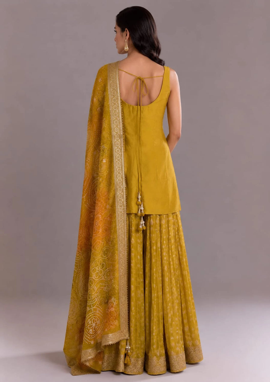 Mustard Sharara Suit