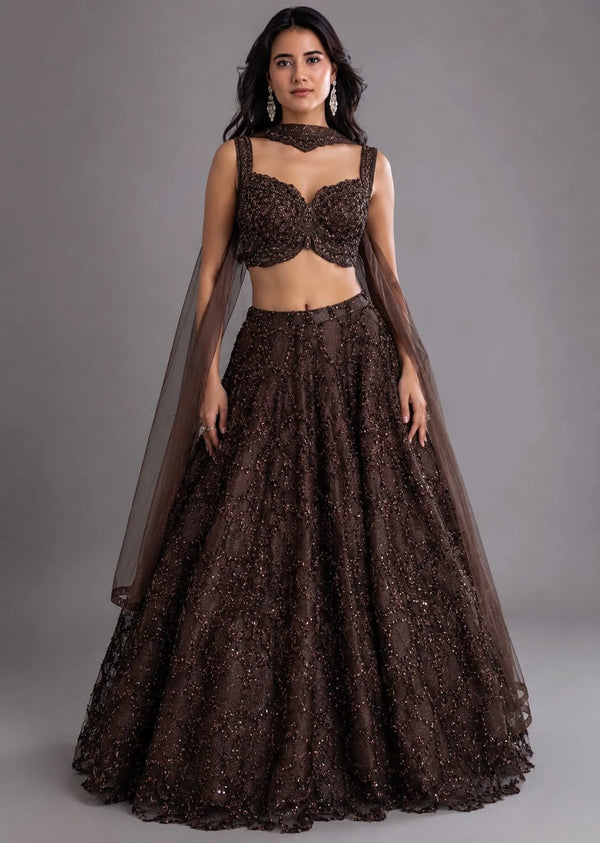 Mocha embroidered lehenga