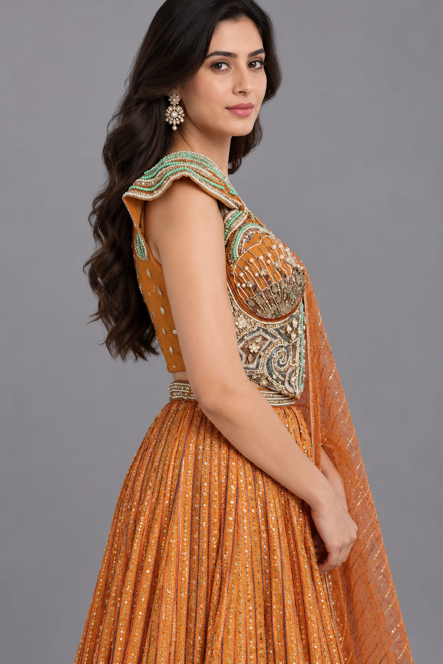 Rust Embellished Carnival Lehenga